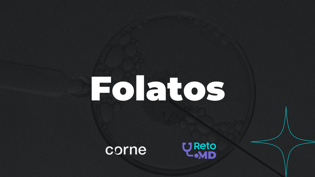 Metabolismo de folatos y su relación con la infertilidad y pérdida gestacional recurrente